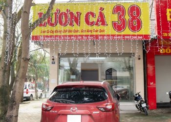 Lươn cá 38