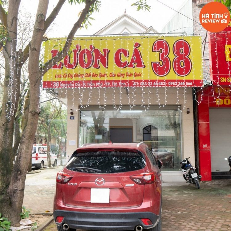 Lươn cá 38